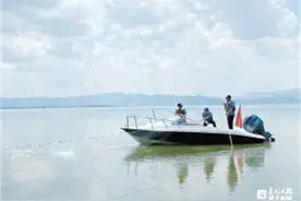 滇池南岸十年禁渔成效显著！图片