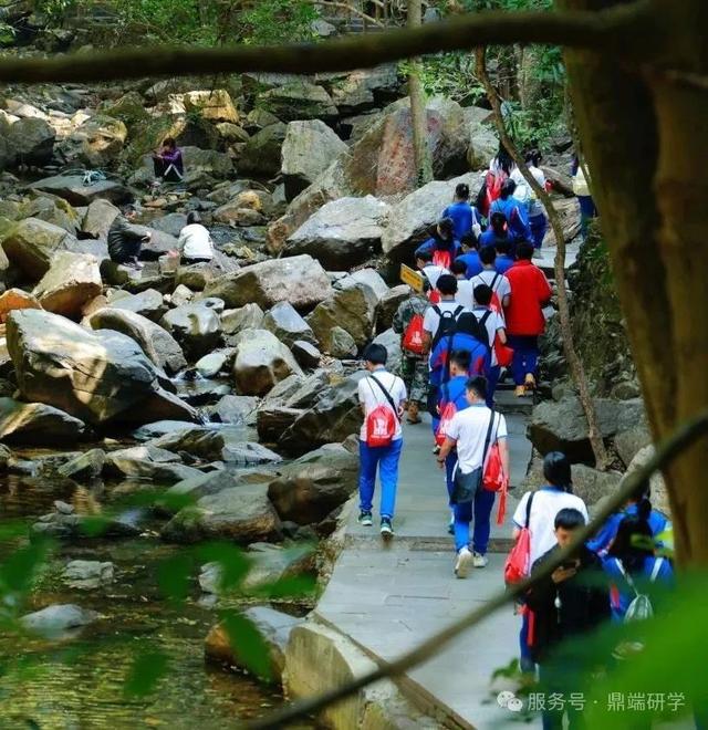 隐藏玩法大公开！鼎湖山超火的研学游来了！等你探秘↘