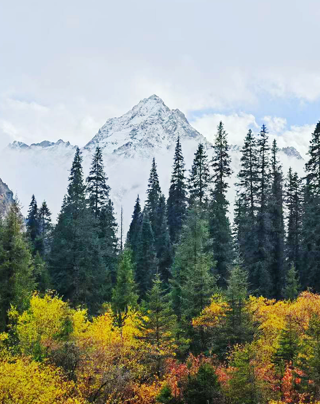 青睐绵阳 ‖ 雪山彩林上线！去平武王朗赴一场金秋视觉盛宴~