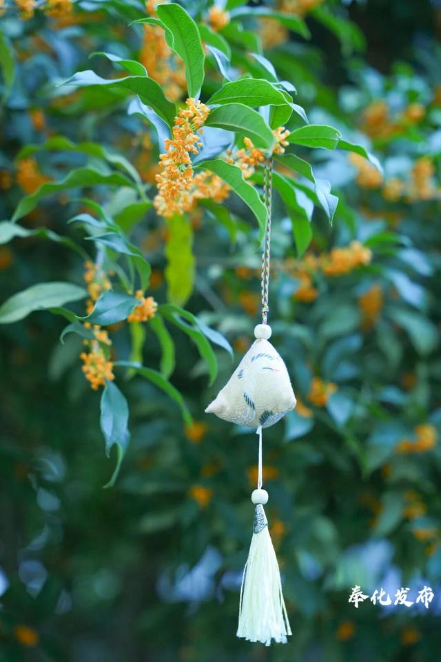 开了开了！奉化的秋天，真࿐香࿐啊࿐