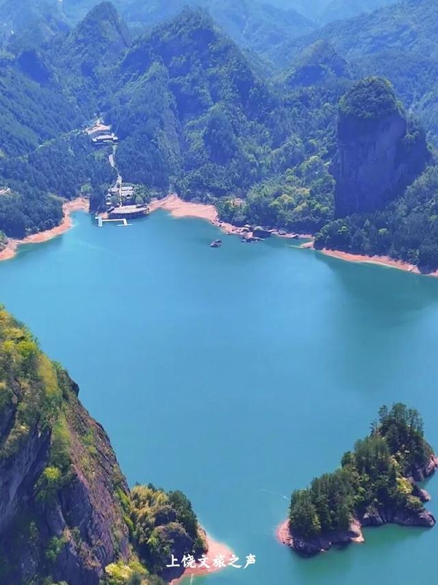 上饶冬日山野真的绝美，赶紧进山“Forest walk”一下~