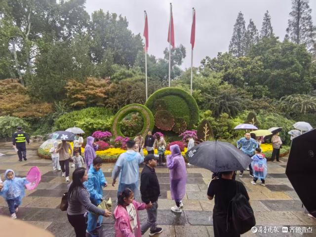 双节拍 | 雨中趵突泉，花伞簇泉人头攒动
