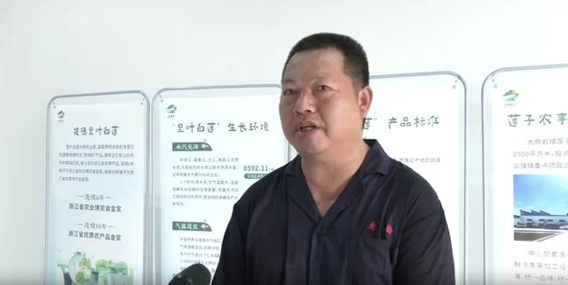 亲“荷”力满分！浙江“荷花经济”绽放暑期新亮点