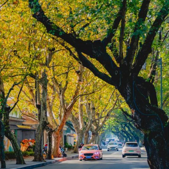 人在画中游！来上海郊野，骑进自然乡野秋韵里