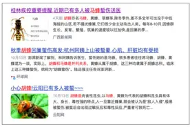 多人被叮咬去世，秋季远离这种昆虫，救命方法要知道图片