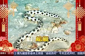 蛇蜻蜓、蛇鹫、蛇颈龙……这些动物叫“蛇”不是蛇图片
