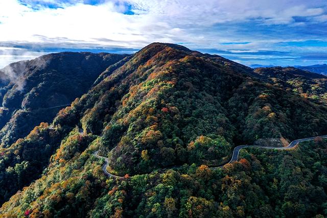 苗岭主峰雷公山: 垂直森林带万物共生