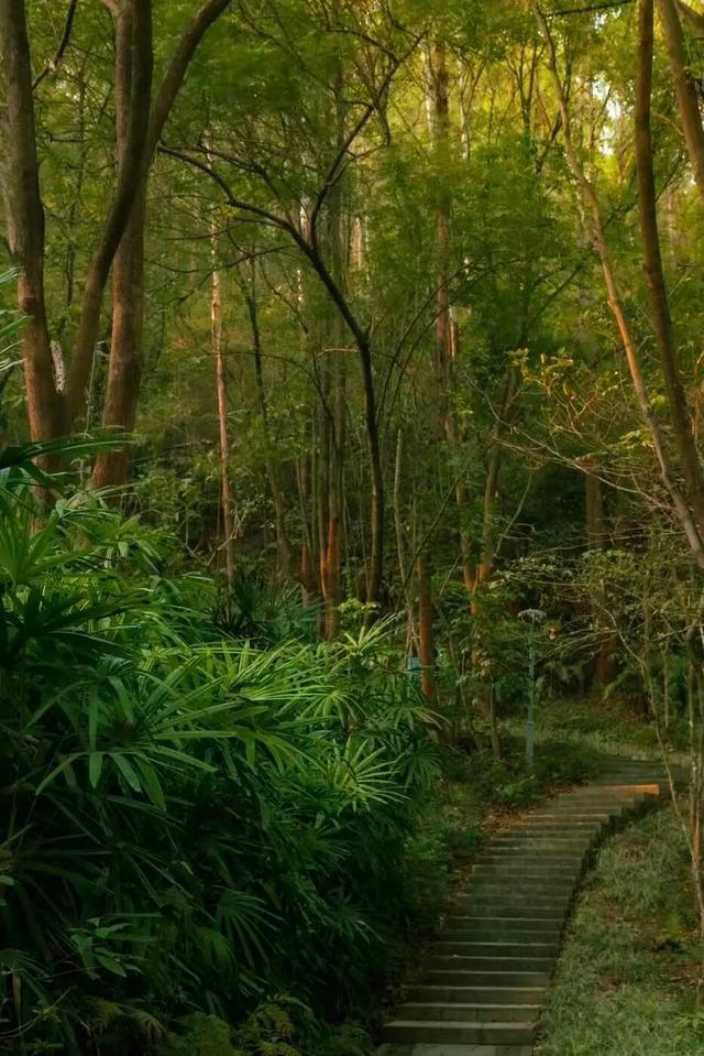 山的那边真的是海吗？为了探求真相，我决定周末就出发……