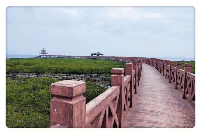 3条路线承包你的渔港烟火、滨海浪漫、山海趣玩！