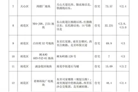 年终冲刺｜长沙供地放量推出34宗地块 冲刺年底“收官战”图片