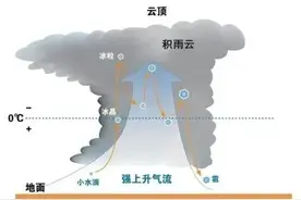 那一夜贵阳闪电13596次！网友：这到底是谁数出来的？图片