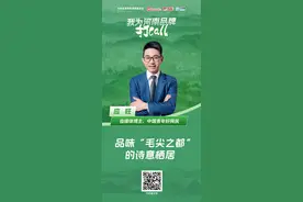 我为河南品牌打call丨应旺：品味“毛尖之都”的诗意栖居图片