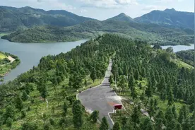 靖州：林地“三权分置”助力中药材产业发展图片