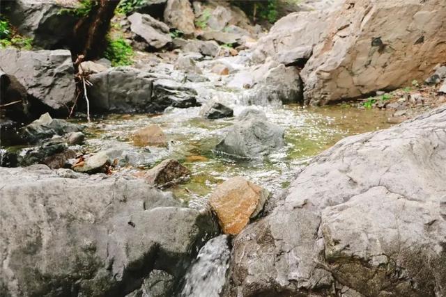 邹平市西董街道：一场夏雨后 山水换新颜