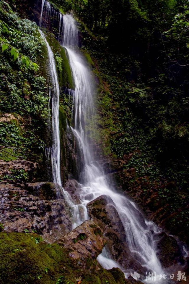 巴东金果坪：饮水水源地绘就生态画卷
