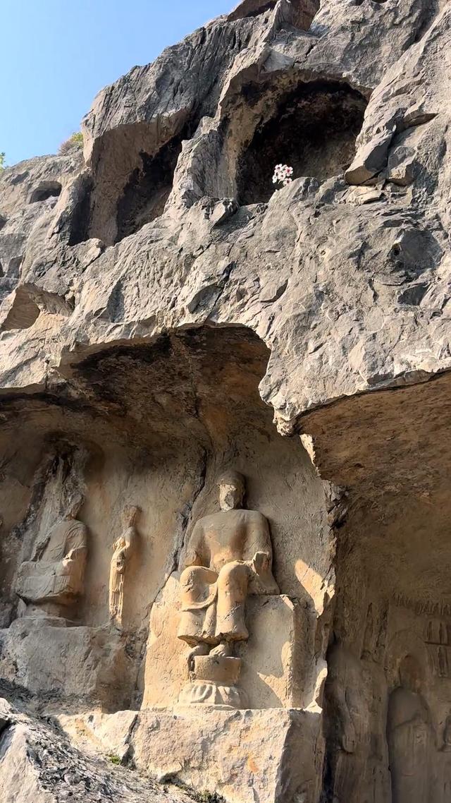 龙门石窟一佛窟石缝开出一株野花，景区讲解员：不少石窟都有野花