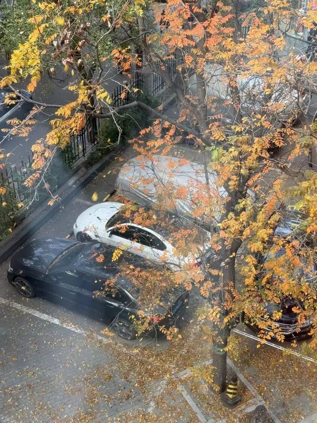 37岁大厂中层：部门被团灭，我花了7个月找工作