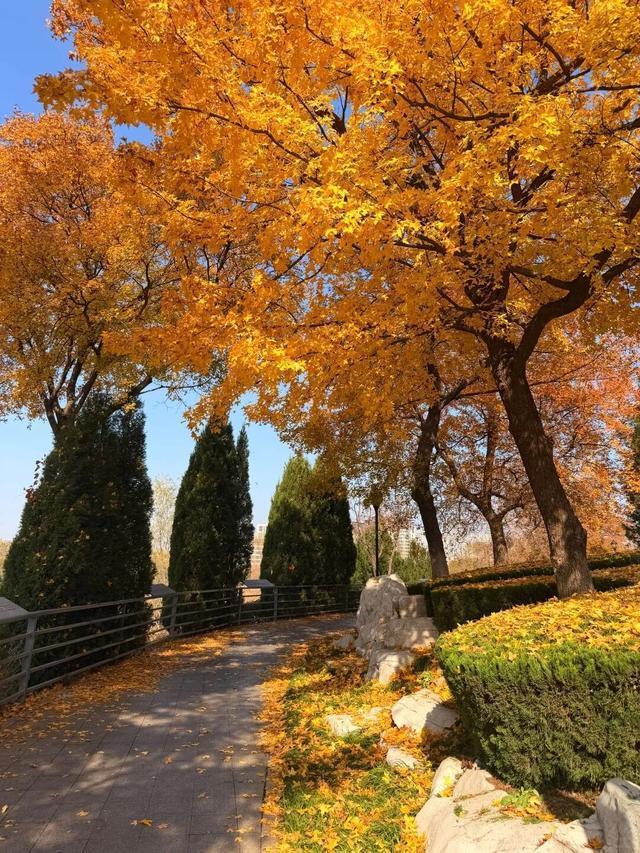 听说周末的石门坊挤爆了？哎，我有一计！