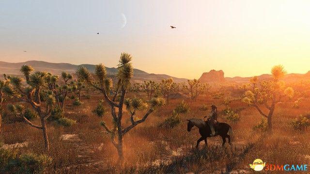 《荒野大镖客：救赎》全剧情流程攻略 全支线任务全收集攻略