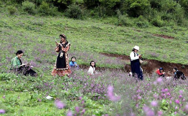 香格里拉旅游火爆，日均19℃清凉吸引中外游客