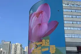 玩一夏⑧|长沙、南昌“荷你一起，快乐一夏”图片