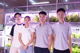 在集装箱里，种出垂直农业的未来图片