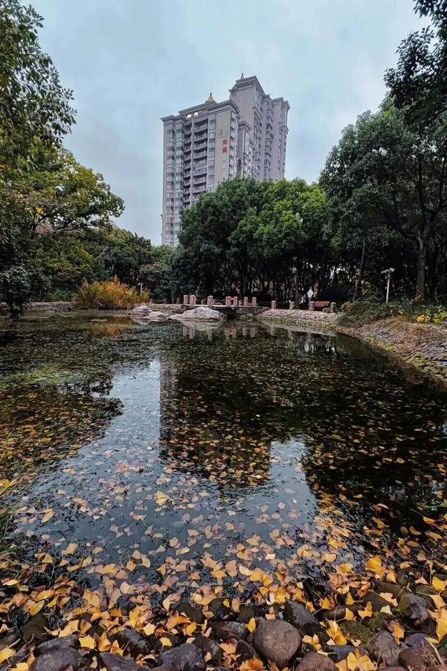 长宁的“双子山”爬过伐？跟着“宁宁”来爬山了！【看“宁”的】