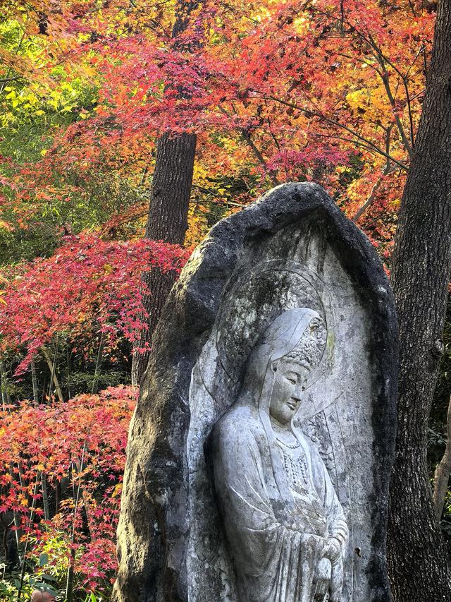 晚潮｜西湖赏枫人群中为何少了苏轼