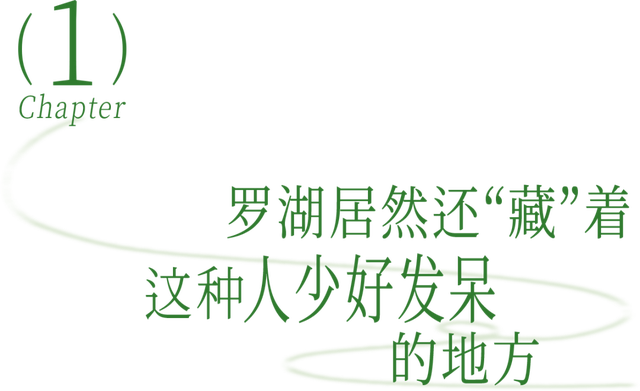 “深圳被严重低估的绿道，人少好发呆”