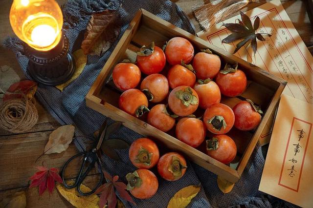 老舍故居的柿子，凭什么成了今年秋日顶流？