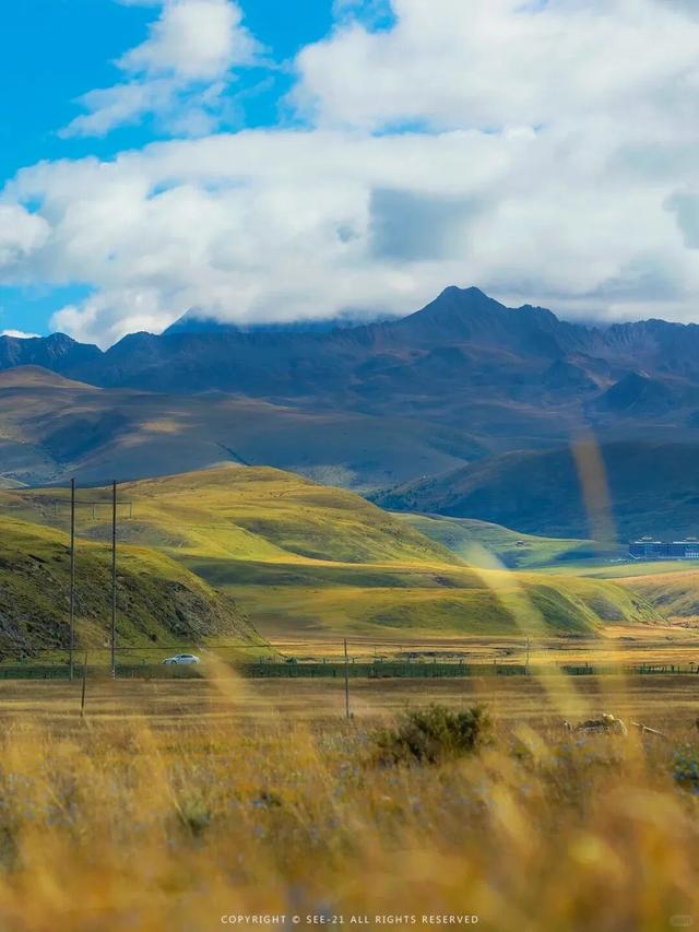 在康定看“川超”太爽了！一条龙安排的明明白白～
