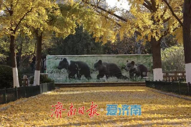 秋色不等人 速来解锁公园景区的N种玩法！