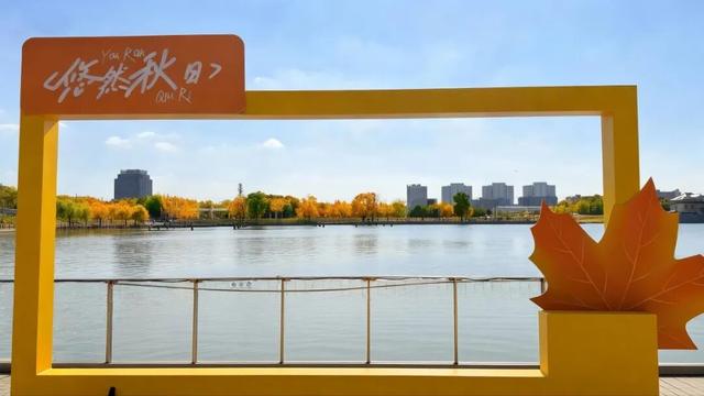 周末好天气，来闵行这些公园遇见最美秋色！