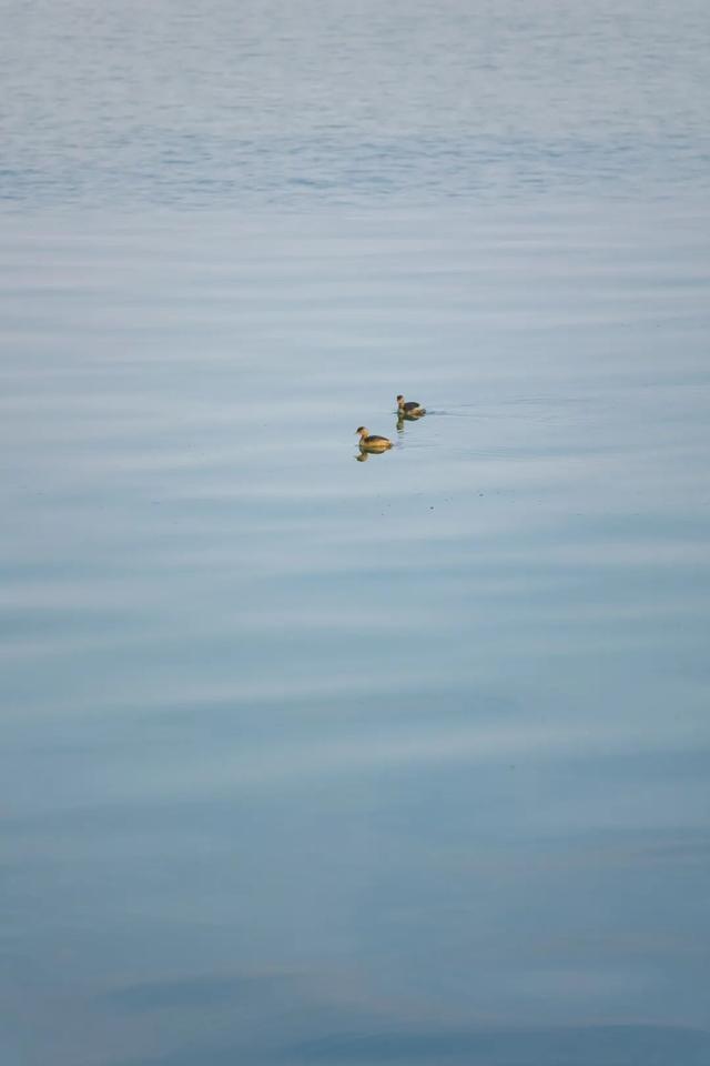 东湖秋日图鉴②｜邂逅听涛，定格秋的独家记忆
