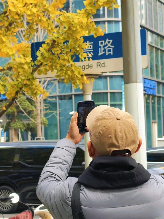 金色长廊加载中！静安这条道路银杏渐入佳境↑