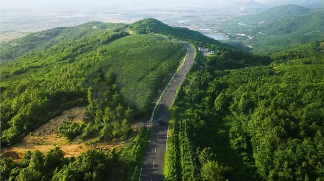 一场雪后，合肥太美了！