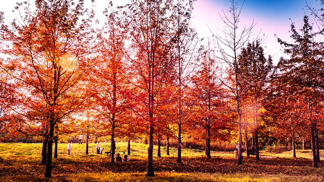 图说遂平：丹霞碧水缤纷色 层林尽染锦绣图