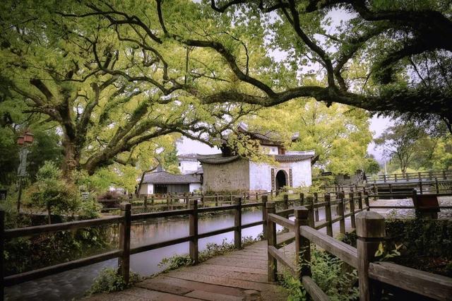 来“吃货圈”打卡 送房券 住进“画乡”，赴一场江南冬日斑斓静谧