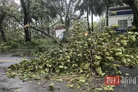 记者直击台风“蝴蝶”登陆时的三亚：海边风太大感觉快被吹走，不少树干树枝被吹断图片