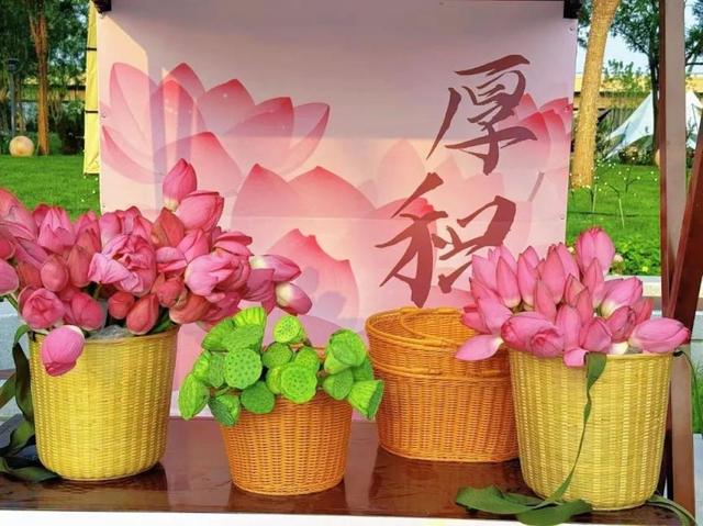 以“荷”为媒绘文旅新画卷！顺义公园荷花展开幕