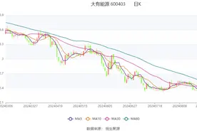 大有能源：2024年上半年亏损4.90亿元图片