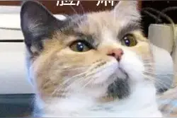 不懂就问：“口~”会不会传播艾滋病？图片