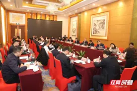 助力民营经济高质量发展 工商联界别委员讨论湖南省政协常委会工作报告图片
