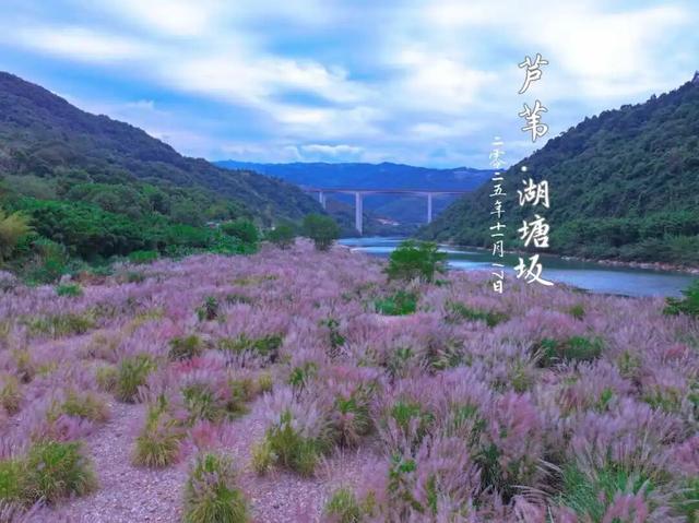 属于福安人的第一场“雪”来了！