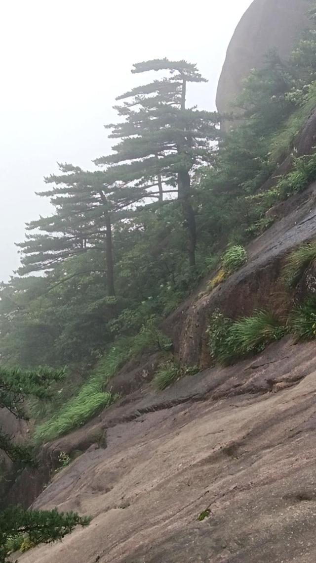 晚潮｜从迎客松到光明顶的奇幻旅程