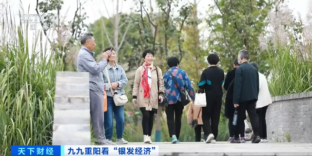 从AI伴游到食宿无忧，景区全方位适老化改造点亮“银发游”