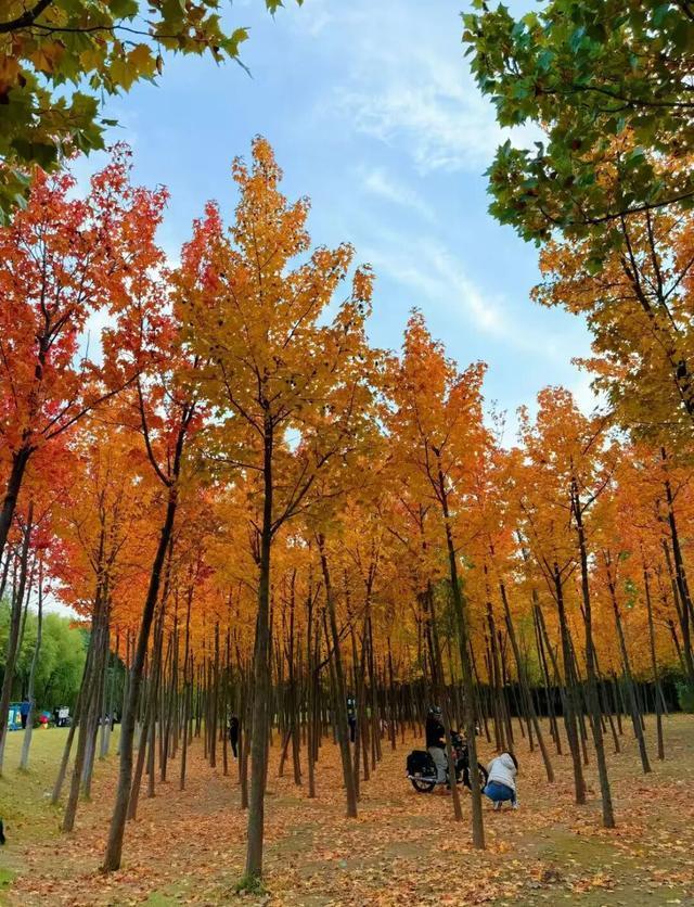 听说周末的石门坊挤爆了？哎，我有一计！