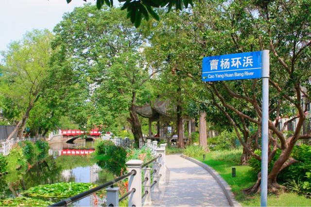 邂逅曹杨CityWalk绿色路线，解锁家门口的“低碳密码”