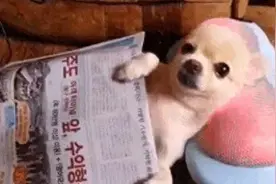 女歌手3次按摩后离世，曾希望大家引以为戒图片