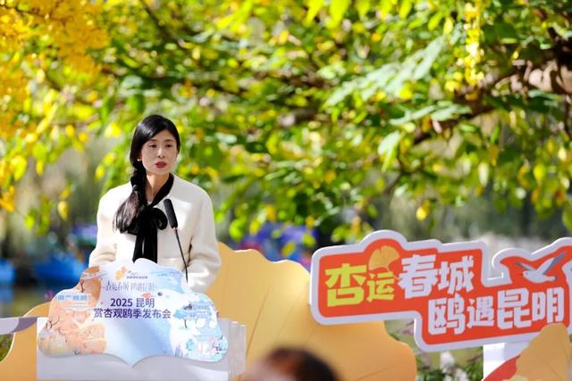 “寒假去哪儿？” 答：有海鸥、20℃、还不用人挤人的昆明！